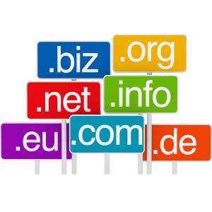 Choose the correct Domain Name For Your Blog or Website