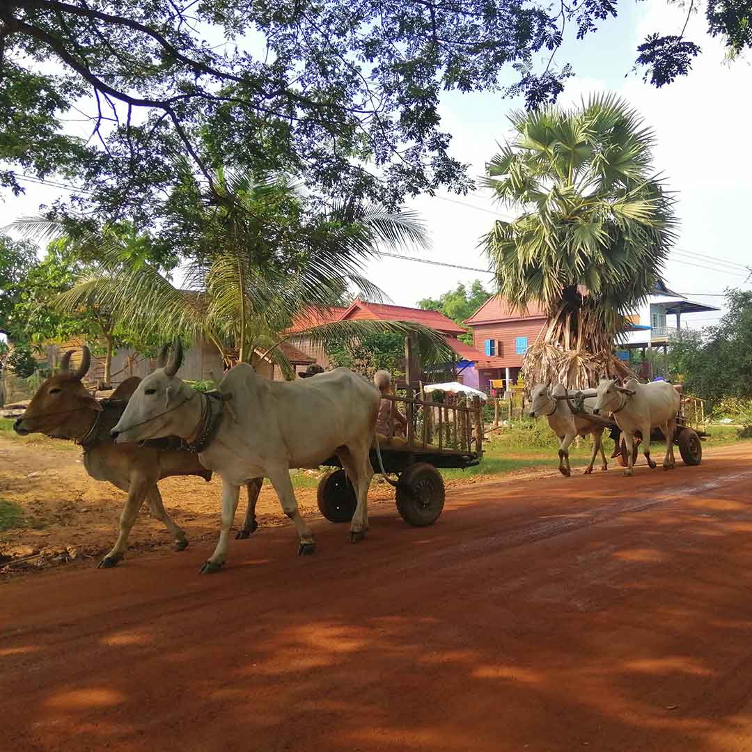 Constructing Water Wells for Cambodian Villages 