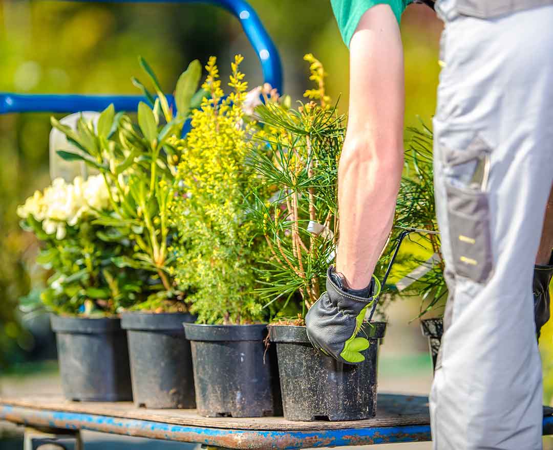 Three Big Reasons Why Landscaping Businesses Fail 