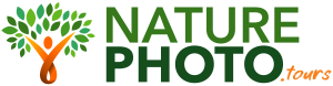 logo-nature-tours.png